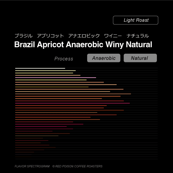 Image of Brazil Apricot Anaerobic Winy Natural