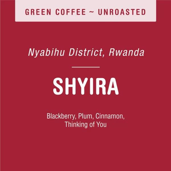 Image of Shyira (Green)