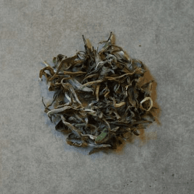 Image of Bai Mu Dan-White