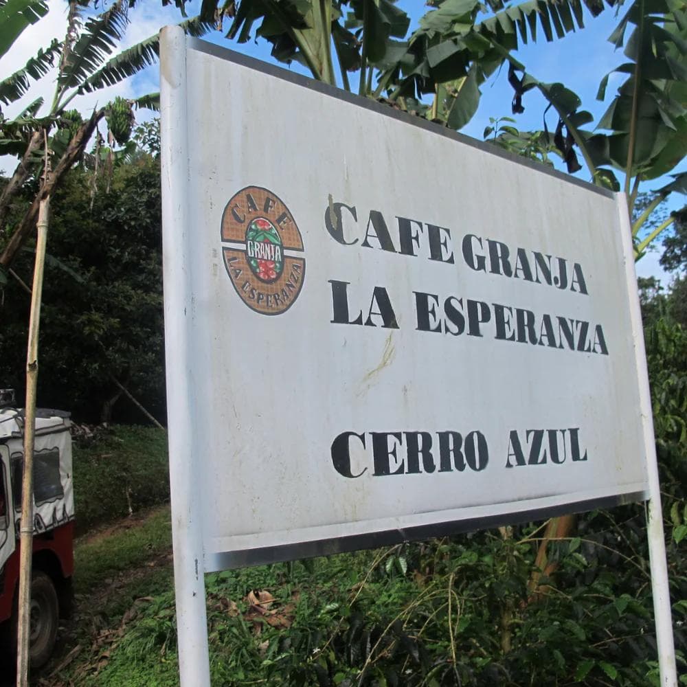 Image of Colombia - CGLE - Cerro Azul- Hybrid Honey Geisha