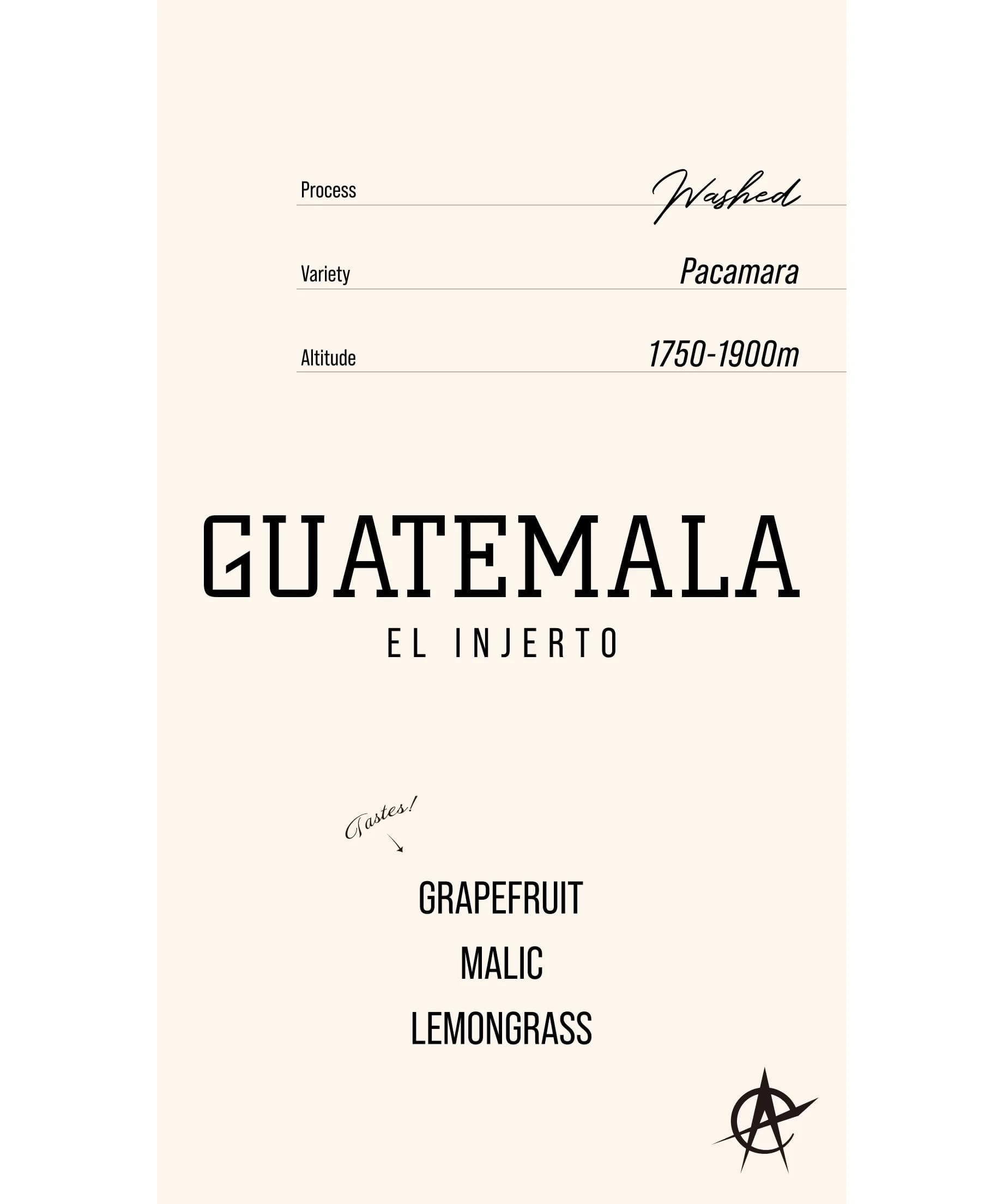 Image of Guatemala El Injerto, Pacamara - Washed