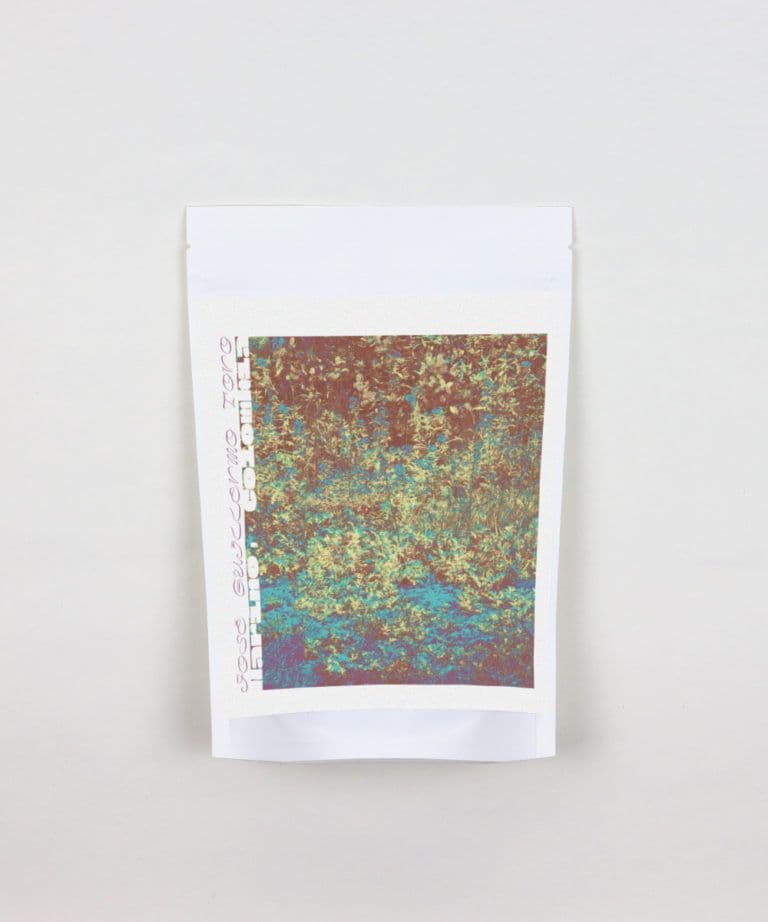 Image of Castillo by Jose Guillermo Toro in Narino Colombia