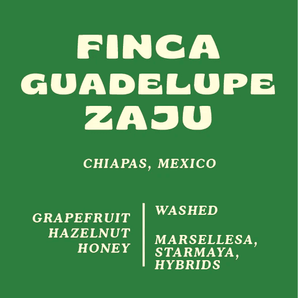 Image of Finca Guadelupe Zaju Mexico