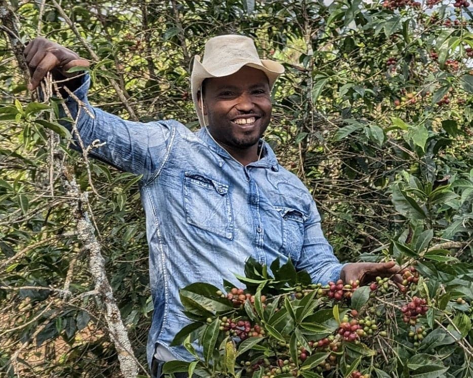 Image of Ethiopia Basha Bekele Kokose Natural Gr 1