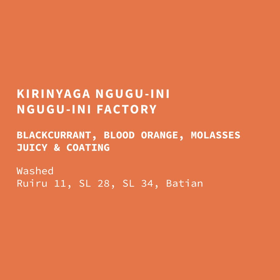 Image of Kenya Kirinyaga Ngugu-Ini