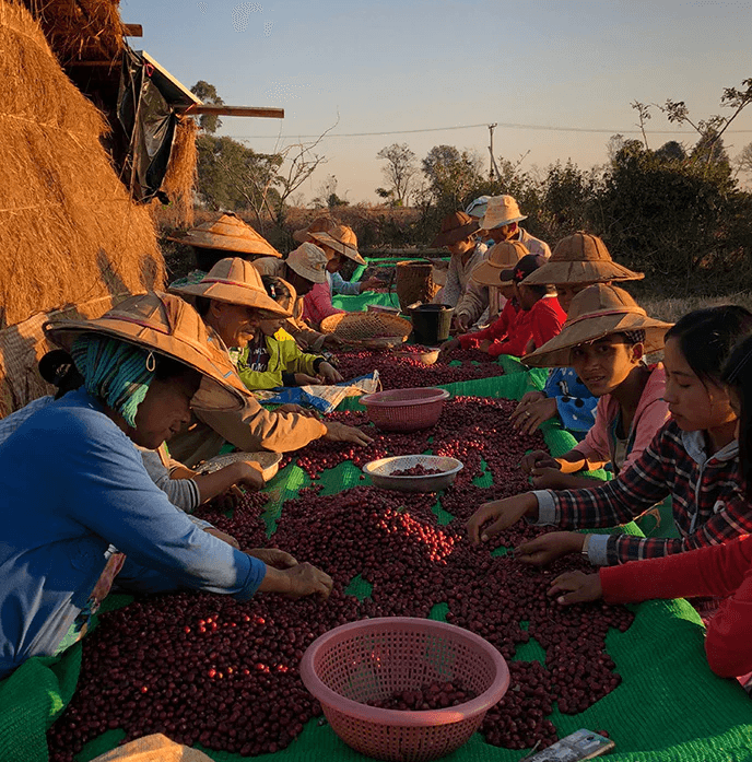 Image of Pha Yar Gyi Kone Natural Myanmar