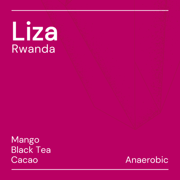 Image of Liza