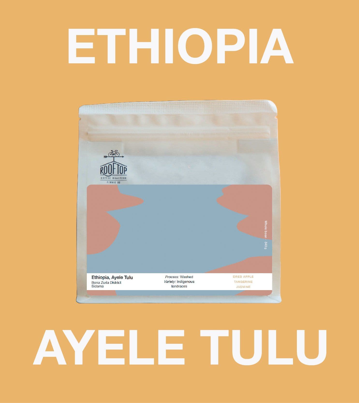 Image of Ethiopia Ayele Tulu