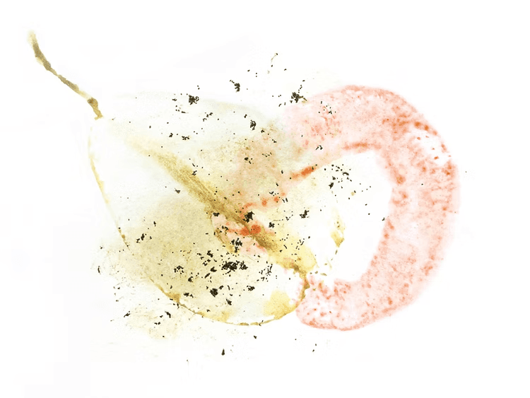 Image of Costa Rica Volcan Azul Caturra