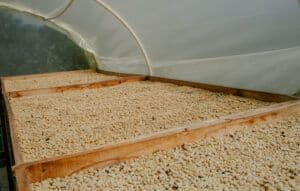 Image of Colombia Finca El Troje