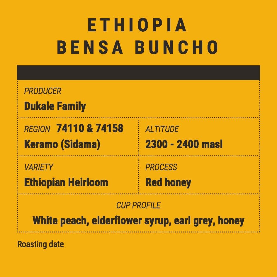 Image of Ethiopia Bensa Buncho