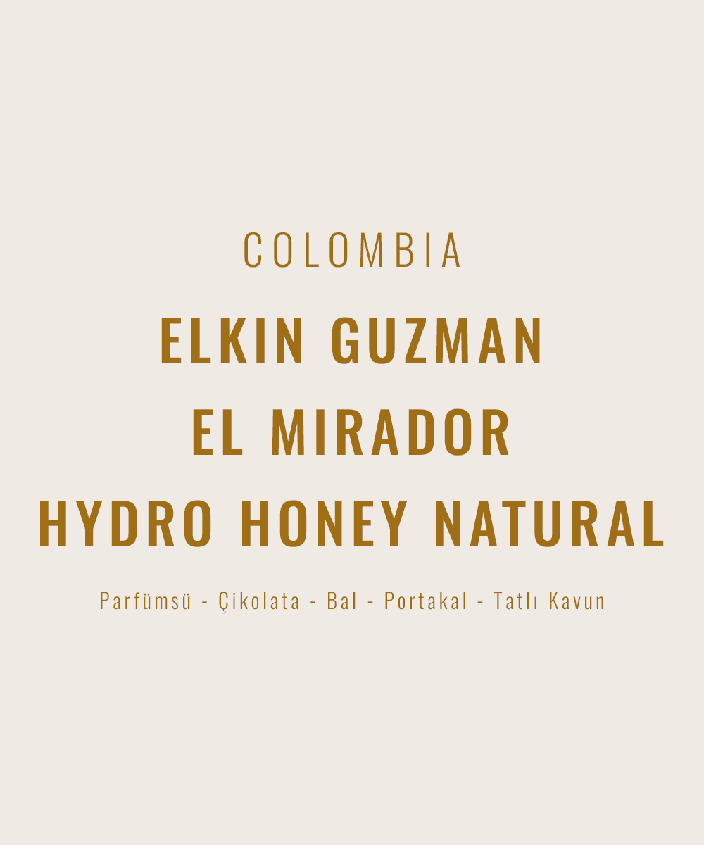 Image of Colombia - Elkin Guzman Hydro Honey