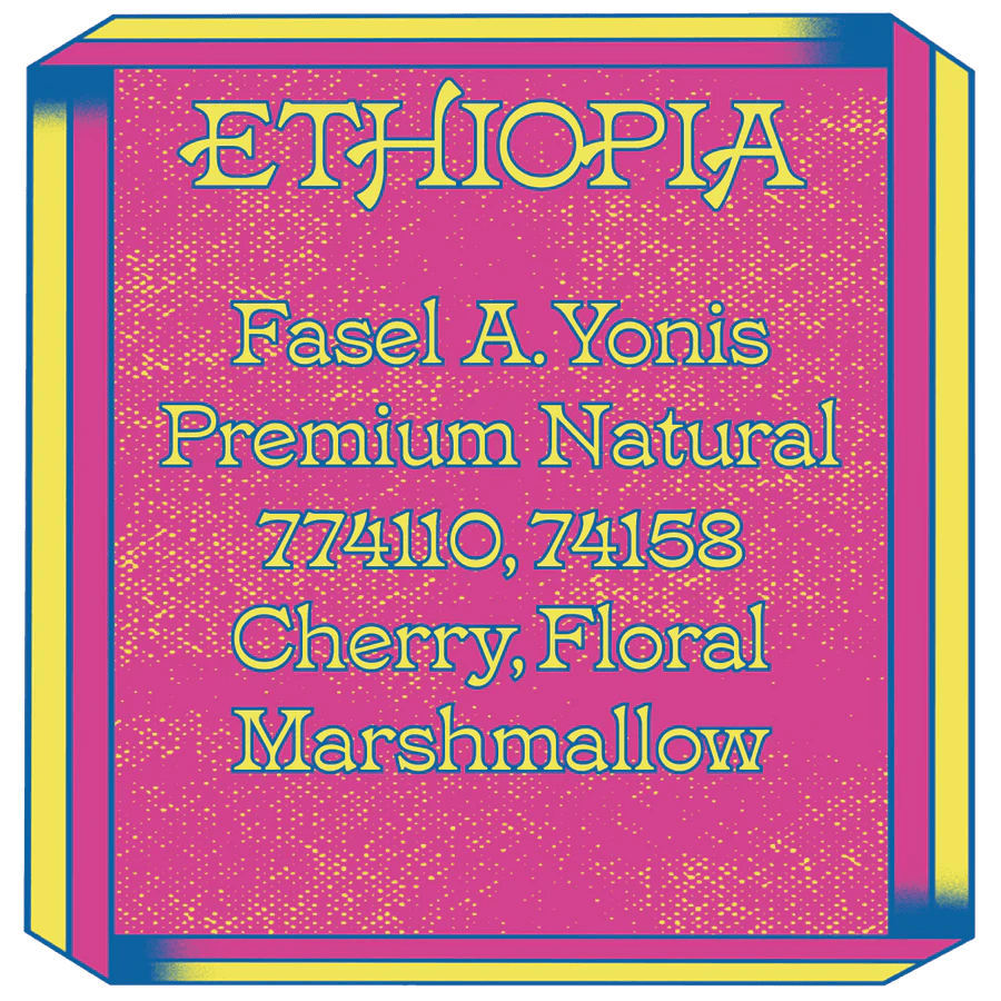 Image of Ethiopia Fasel A Yonis Premium Natural