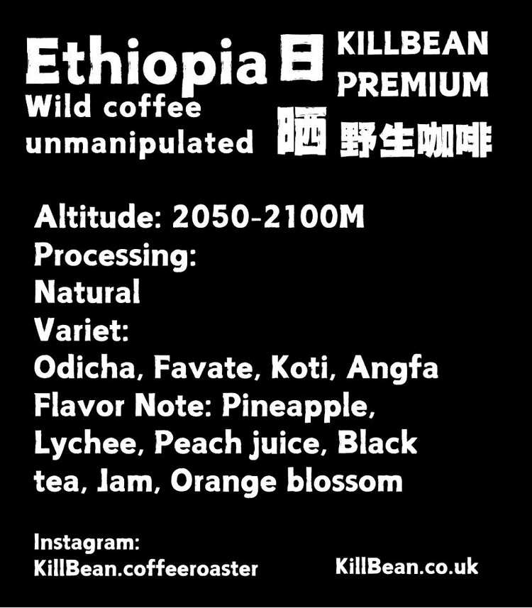 Image of Wild Forest Natural Coffee