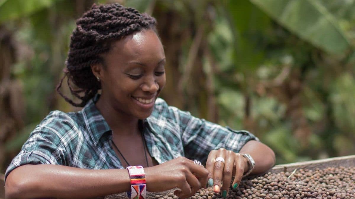 Image of Kenya Mukuyuni Co-op AA