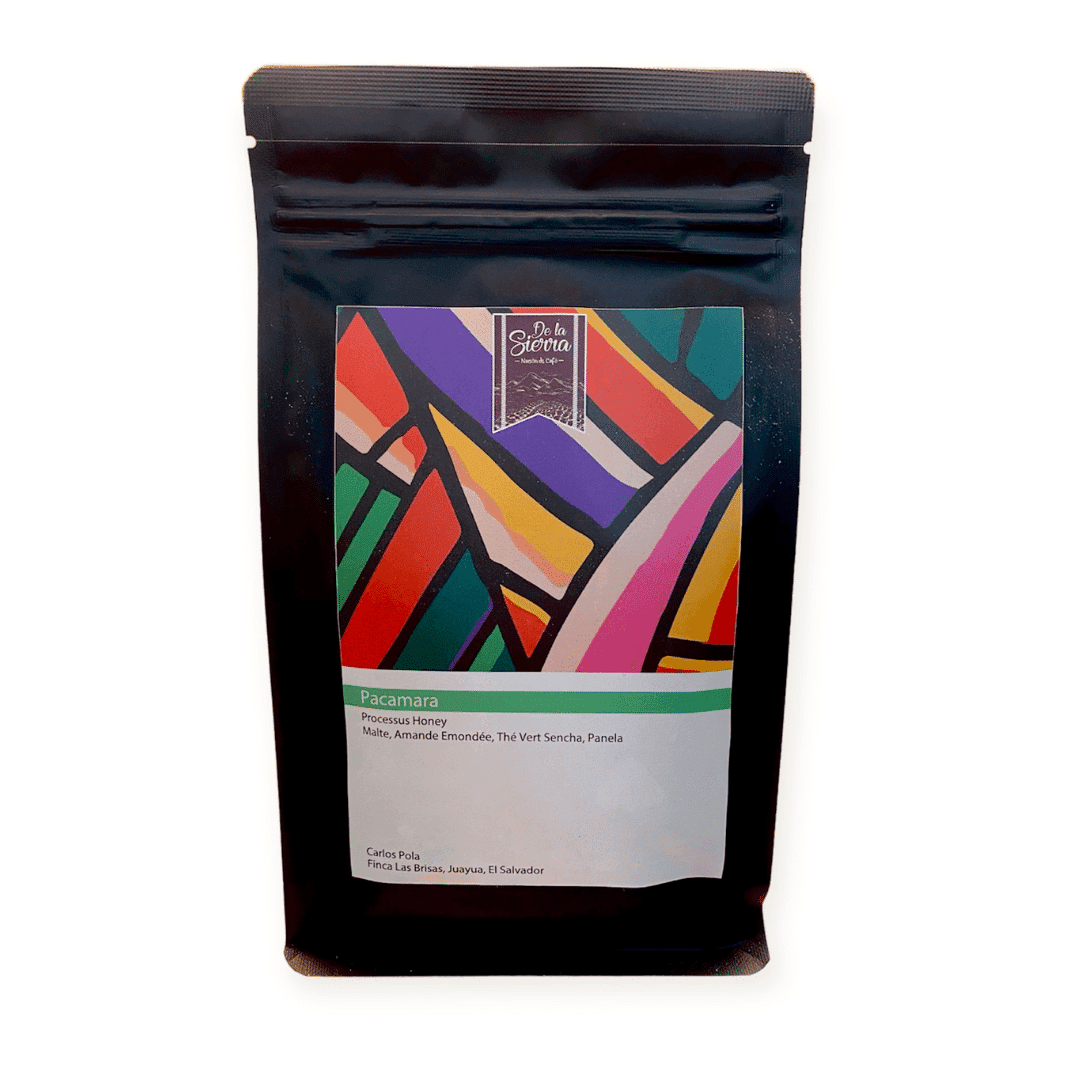 Image of Pacamara - Single Origin El Salvador