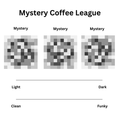 Image of Washed Geisha Honduras  MCL 2024