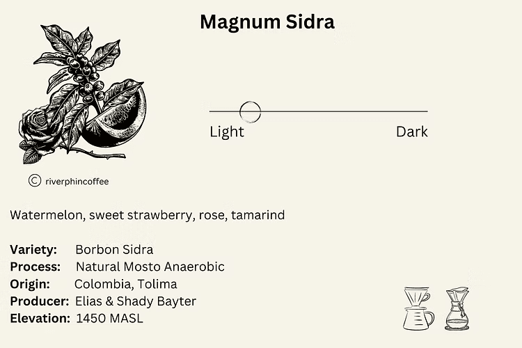 Image of Magnum Sidra