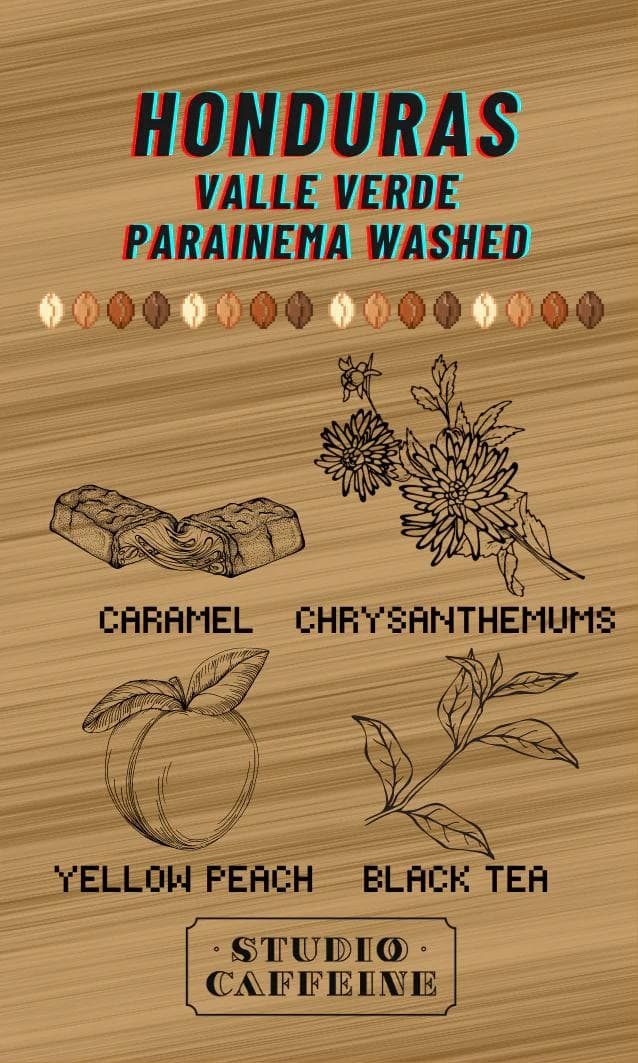 Image of Honduras Valle Verde Parainema Washed