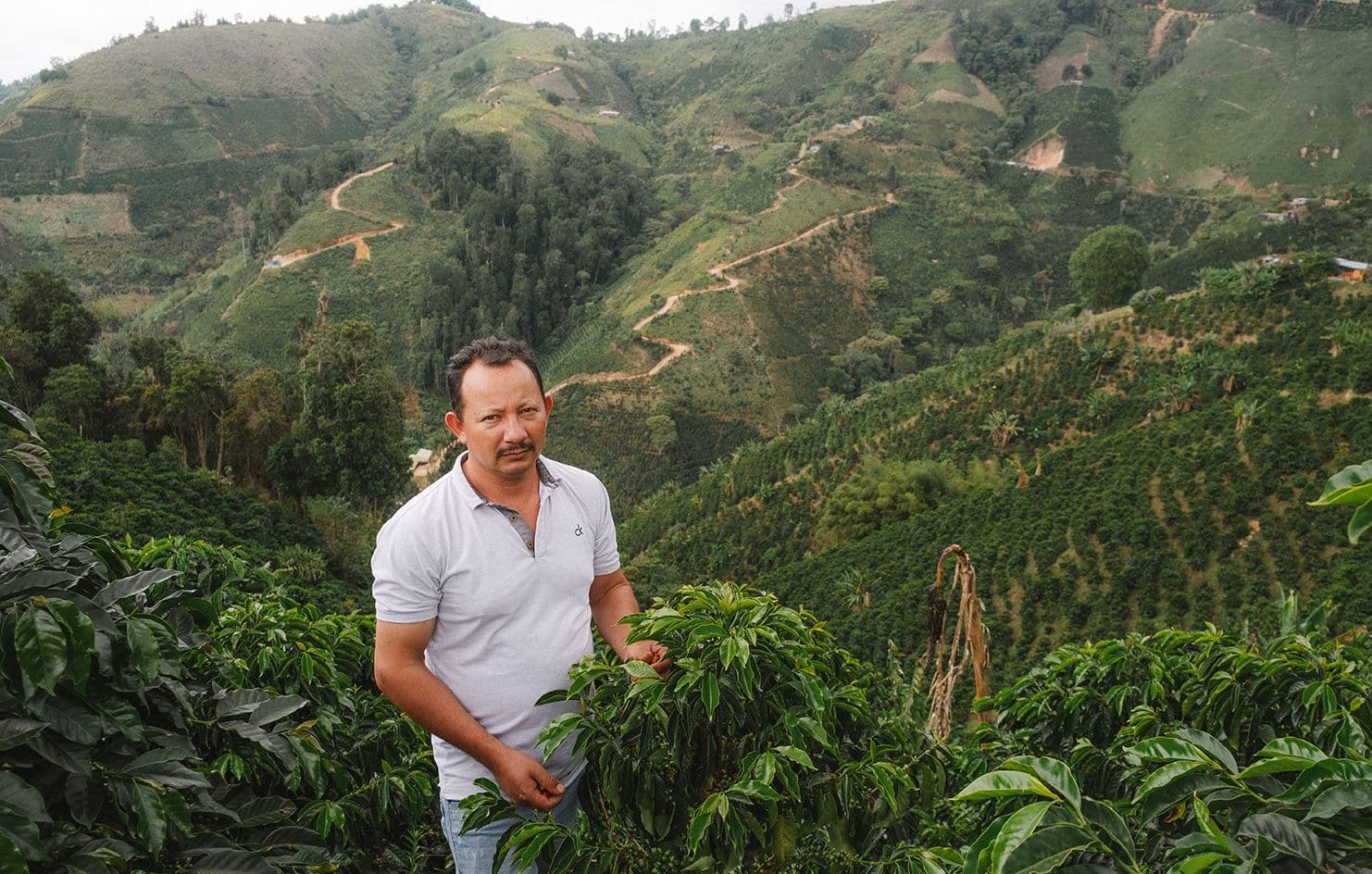 Image of Finca La Piragua