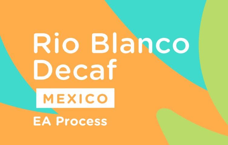 Image of Decaf Rio Blanco Mexico