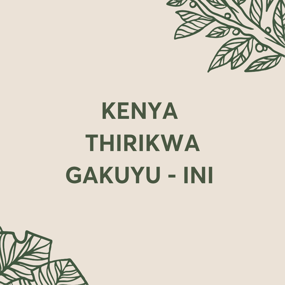 Image of Thirikwa Gakuyu Ini Kenya