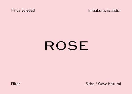 Image of Ecuador - Finca Soledad - Wave Natural - Sidra