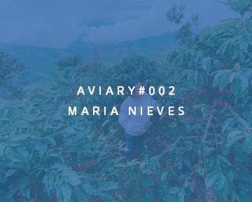Image of 002 - Maria Nieves