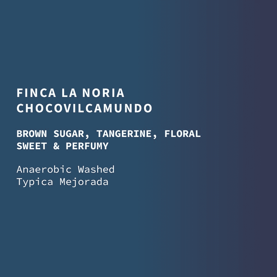 Image of Ecuador La Noria