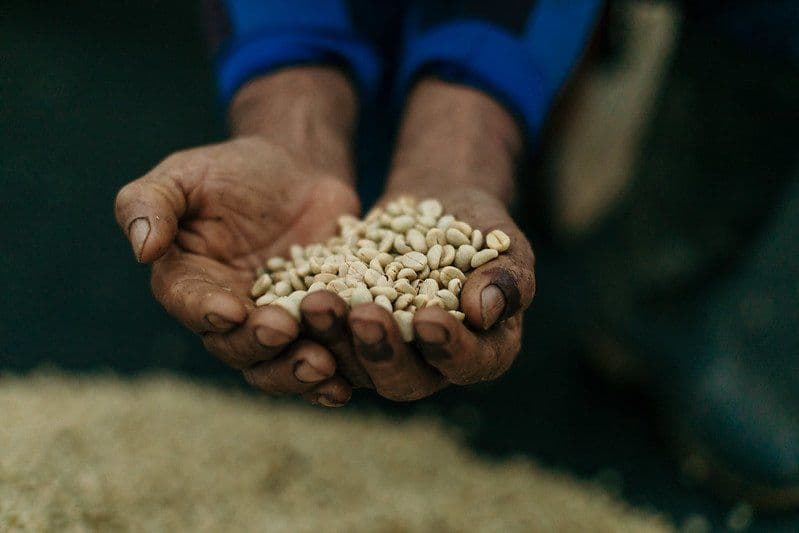 Image of Colombia Tolima Multicoop Regenerative Organic