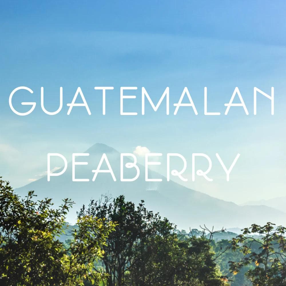 Image of Guatemala Peaberry Coffee