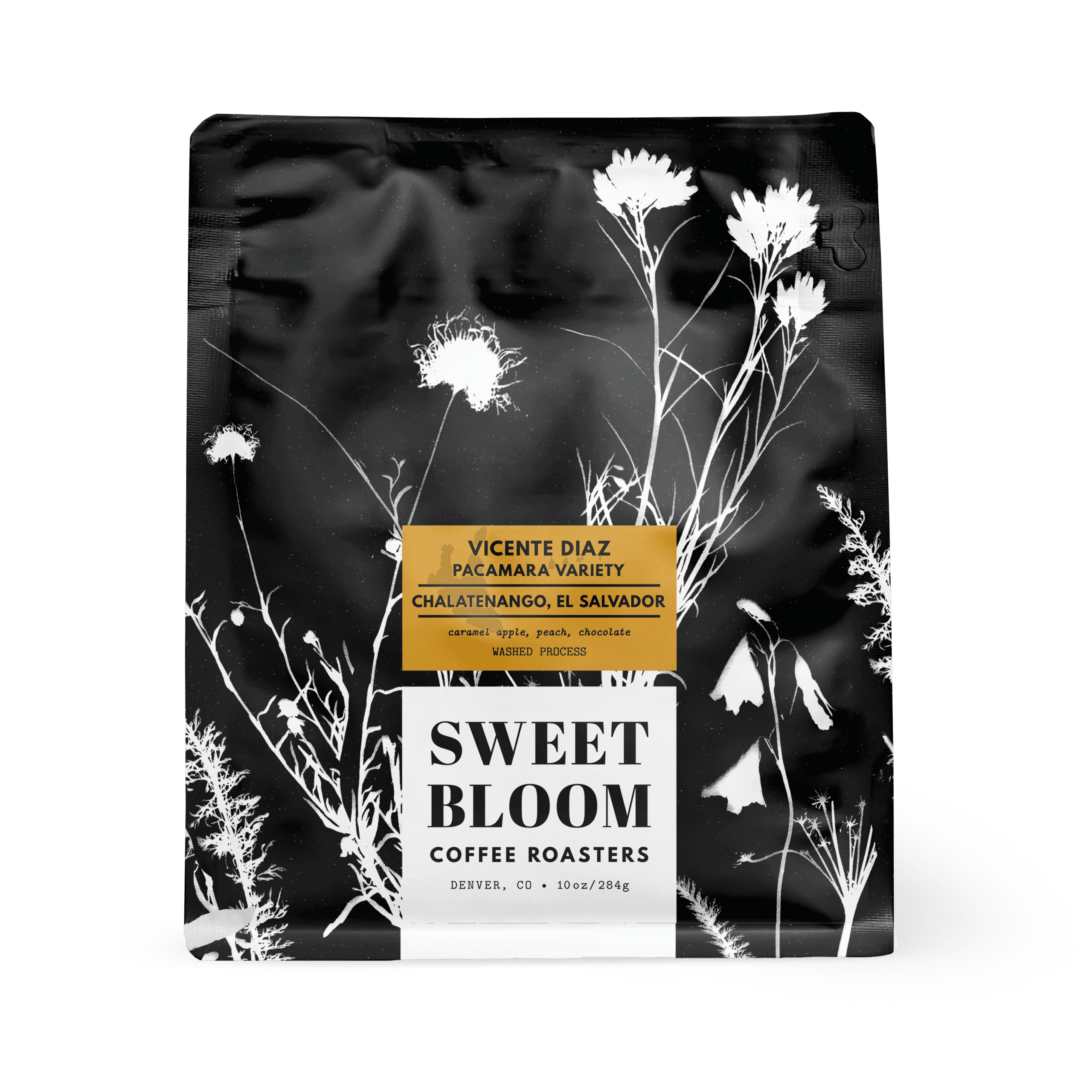 Image of Vicente Diaz