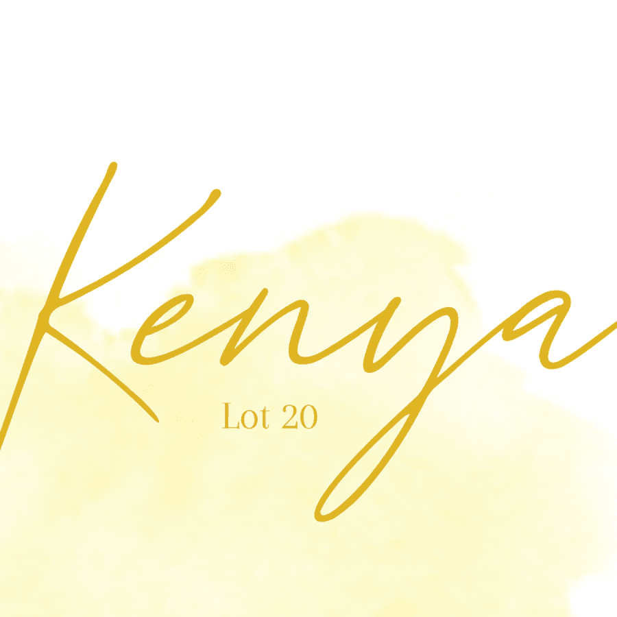 Image of Kenya - Lot 20
