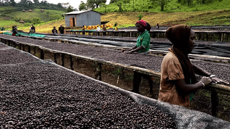 Image of Gesha Village lot 22/056