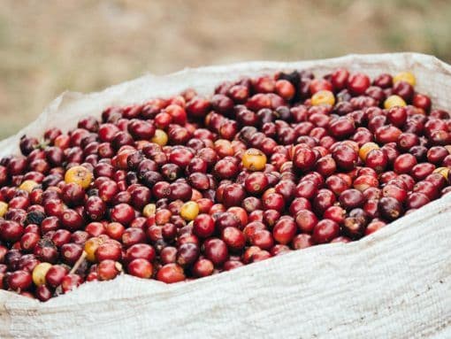 Image of Costa Rica El Mirador