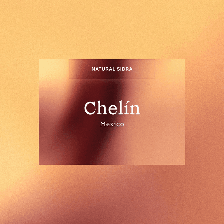 Image of Chelin  Mexico - Obadiah