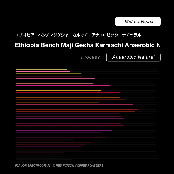 Image of Bench Maji Gesha Karmachi