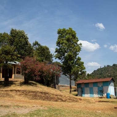 Image of Ethiopia Ayla Bombe