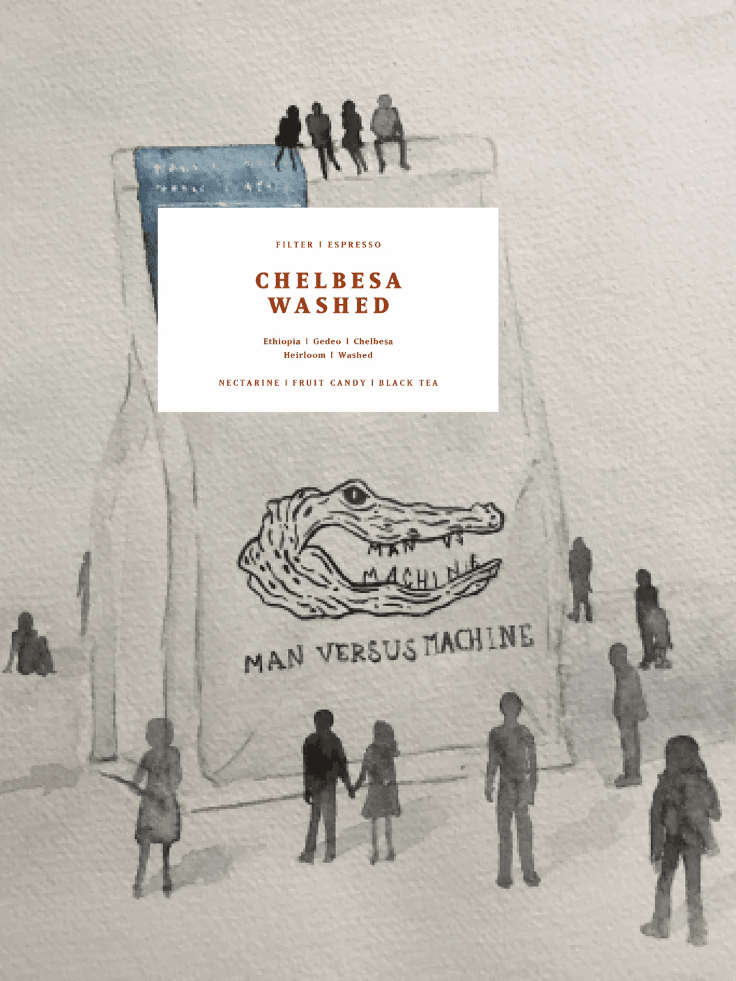 Image of Chelbesa Washed