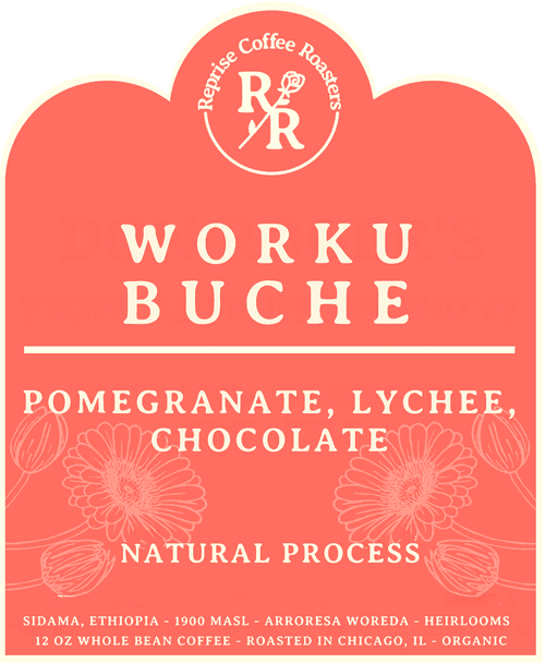 Image of Worku Buche - Grade 1 - Ethiopia Sidama