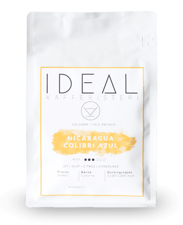 Image of Nicaragua Colibri Azul