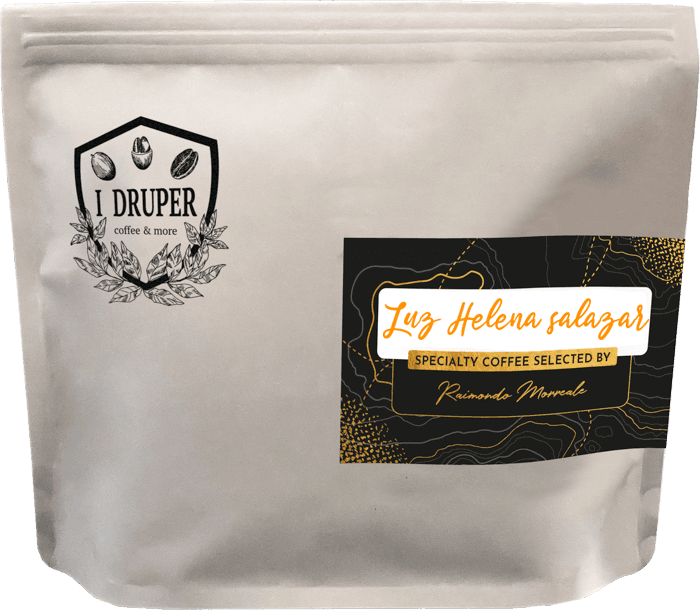 Image of Light Helena Salazar