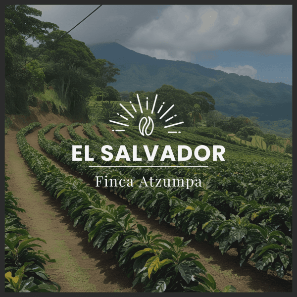 Image of Finca Atzumpa 