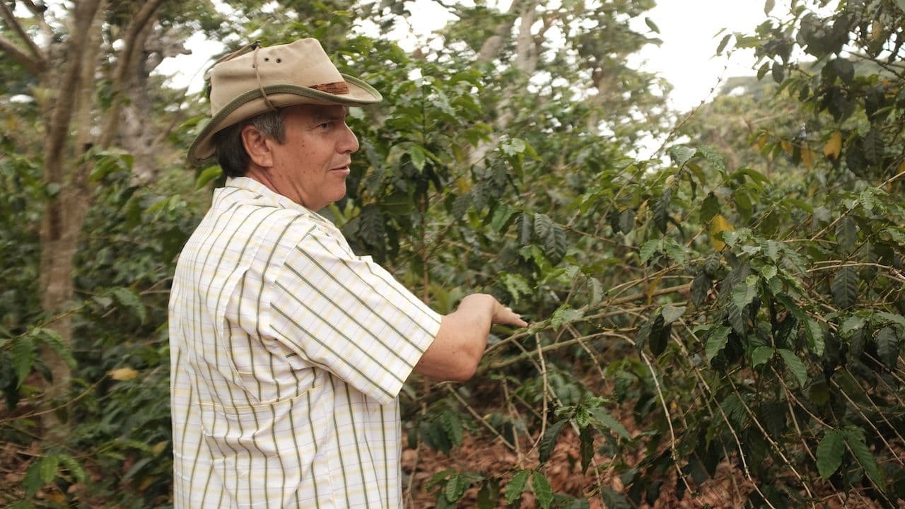 Image of CB: El Salvador El Carmen, PNG AAAK, Kenya Kirinyaga