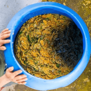 Image of Colombia La Rivera NIU