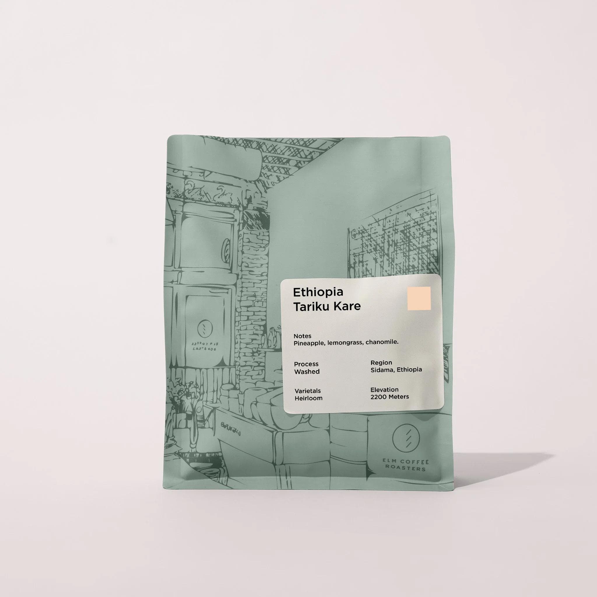 Image of Ethiopia Tariku Kare