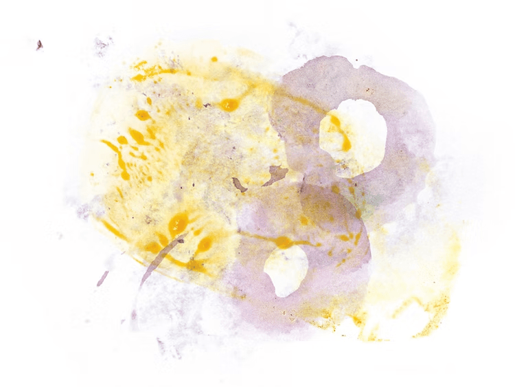 Image of Colombia El Ocaso Papayo