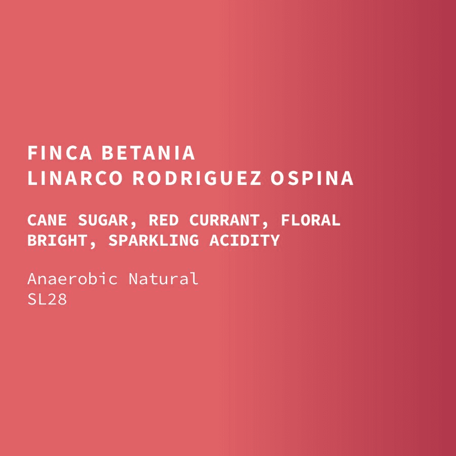 Image of Colombia Linarco Rodriguez