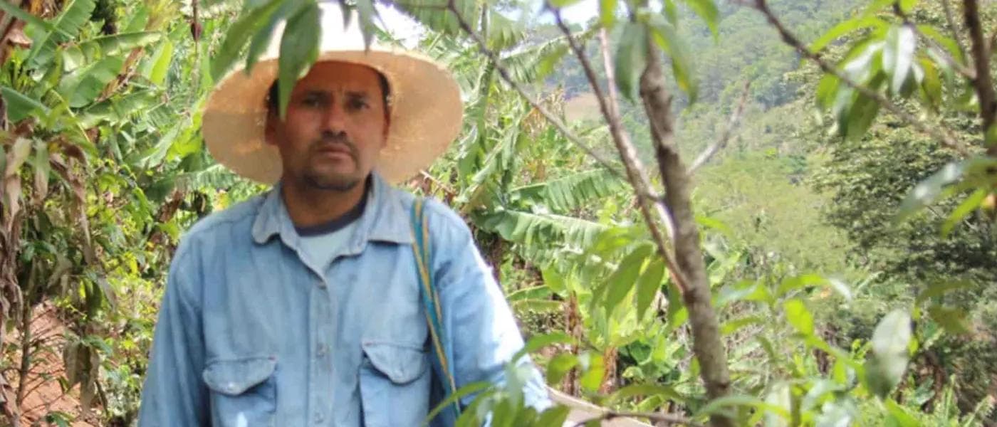 Image of Honduras Yire