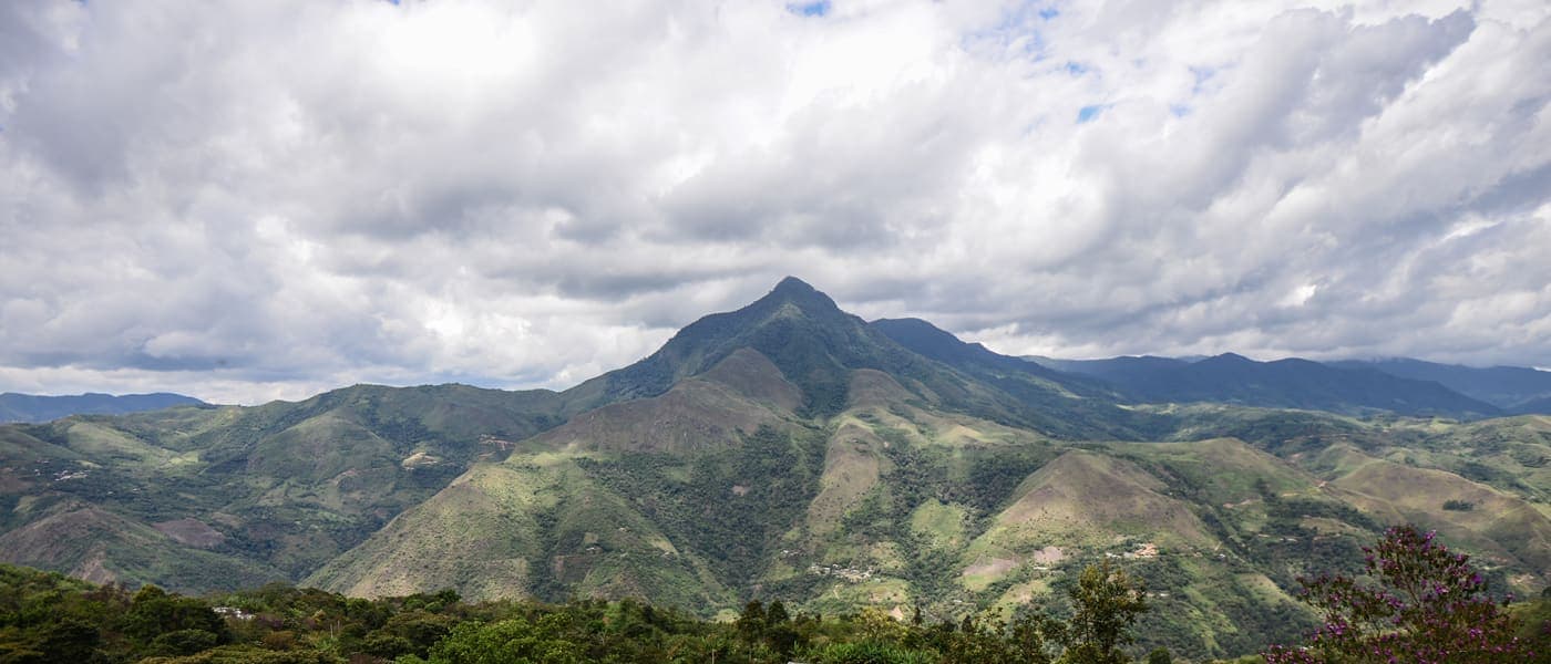 Image of Peru La Palestina